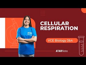 Cellular Respiration | VCE Biology 3&4