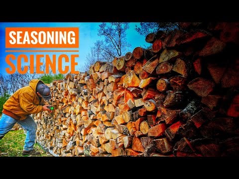 Should You Cover Your Firewood?