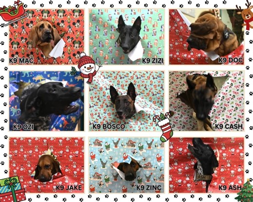 🎄 Holiday Office Closure Notice – Santa Rosa Sheriff’s Office 🎄 Please be advised that our Main Office and District Offices are closed today, December 24, and will remain closed through December 26, 2025, in observance of the Christmas holiday. While our offices are closed, public safety remains our top priority. We have Patrol Deputies, Detention Deputies, and Dispatchers on duty 24/7 to serve and protect our community. 🚔 For emergencies, dial 911. 📞 For non-emergency assistance, contact ou