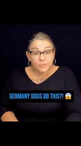 13K views · 667 reactions | Germany Dogs Do This?!  #ASL #signlanguage | Andra Rush | Facebook