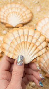 68K views · 419 reactions | Realistic seashell cookies decorated with royal icing and edible paint from @sweetsticksau #sugarcookies #royalicingcookies #cookiedecorators #decoratedcookies #sweetambscookies | SweetAmbs | Facebook