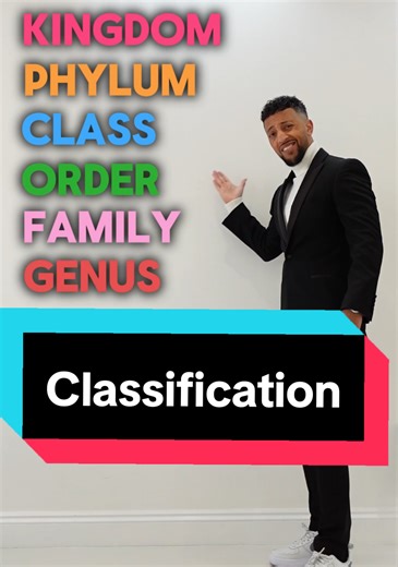 Understanding Classification in Biology