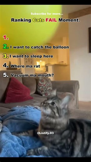 “Top 5 Funniest Cat Fails 😂 (Wait For #1!)”#CatFails #FunnyCats #ViralShorts