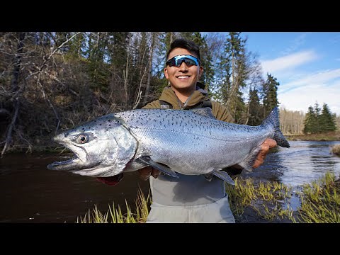 Alaska King Salmon Fishing a Tiny Creek! (CATCH CLEAN COOK)