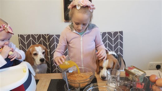 Making a delicious cheesecake for Christmas treat