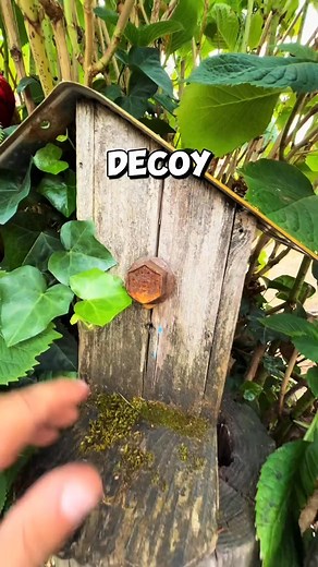 59K views · 536 reactions | "Adventure is Out There!  | Geocaching Tips & Tricks #Hullsome" | Stay Hullsome | Facebook