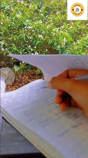 Calm Meditation for Study & Focus | Short Video✍️