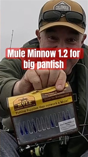 Mule Minnow 1.2 for big Michigan bluegills! #panfish #bluegill ‪@FishAnything‬ ‪@MuleFishing‬