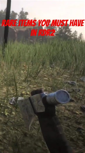 Rare items you must have in RDR2