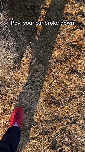 Pov your car broke down | cars pov