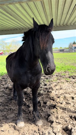 Emo Culture and Its Connection to Farming