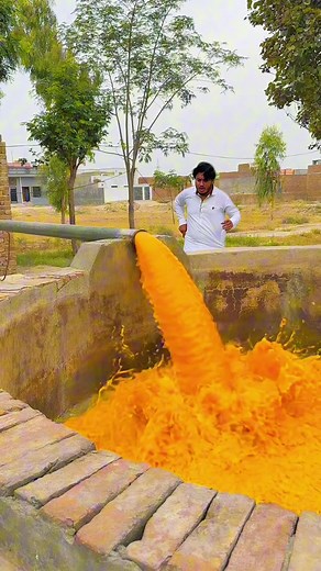 Mango Juice Flowing from a Tubewell — Miracle or Explanation?