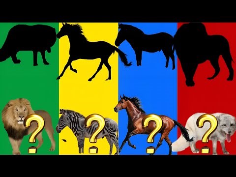 “Only 1% Can Guess All Animals Correctly!” 🧠🐾