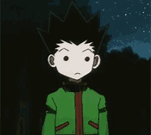 Hunter X Hunter Gif Wallpaper