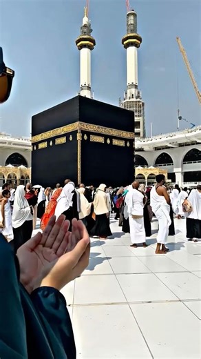 hajj 2026 news update today shorts