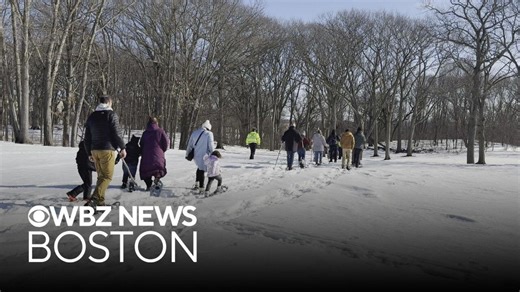 Franklin Park Winter Festival underway with skating rink, snowshoeing safari and more