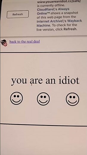 name:youareanidiot.cc safe