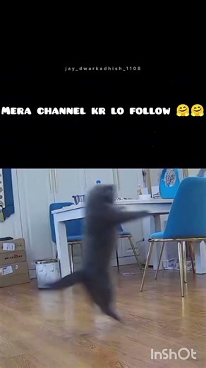 Guyzzzz Channel Subscribe Kar dooo😭😭