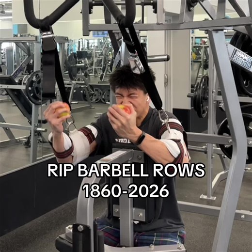 Rip barbell rows, introducing single jointed sagittal row #fyp #gym | barrel row