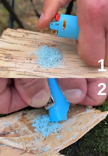 Comparing Survival Skills: Which Video Is More Effective?