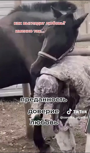 Russian Team Zoo: Loyalty and Love Reminder