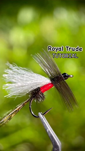 👇👇The Art of Fly Tying: David’s Secrets to Tying Perfect Dry Flies👇👇We caught up with David, a passionate fly tier and creator, to talk about his journey into the art of fly tying. In this interview, he shares the story of how he got started, his creative process, and his go-to tips for tying better dry flies. Whether you’re just starting out or looking to refine your craft, David’s insights are sure to elevate your fly-tying game. 1. **Use the appropriate size thread.** This makes all the d