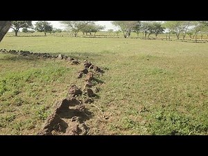 SLM01 Stone Lines (Summary)