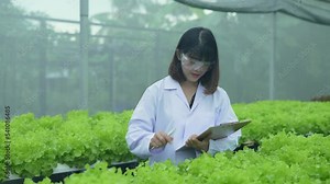 agriculture concept of 4k Resolution. Researchers are investigating plant growth in greenhouses. Keep a record of the vegetable experiment progress.