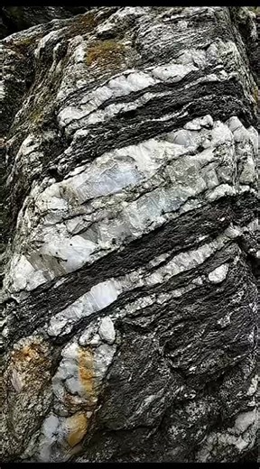 How is the real gold find in Quartz Veins #gold mining # for you#