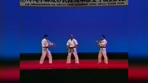 The Essence of Shorin Ryu Karate