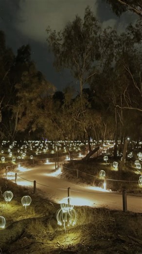 Mildura.com | It's here ✨ Trail of Lights officially opens tonight at Lock Island, Mildura! Come and experience the magic for yourself Comment "Trail... | Instagram