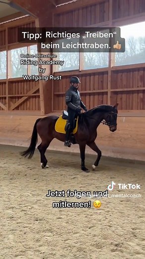 Richtiges Treiben beim Leichttraben