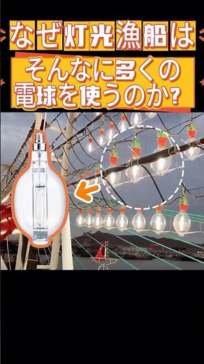 なぜ#灯光漁船 は、そんなに多くの#電球 を使うのか？#漁船ライト #集魚灯 #船舶照明 #灯光漁船 #漁村 #漁師 #イカ釣り漁船 #fishinglight #メタハラ #MHランプ #金卤灯