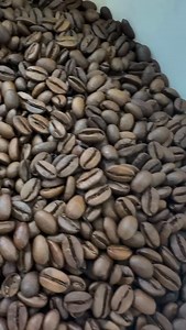 147 reactions | Manipruek Trifecta  3️⃣ honey processed gems coming together as one. Java + Syrina +Typica = layers of sweetness, fruit, and velvety depth.Beautiful bean, beautiful taste #GemForestCoffee #ManipruekTrifecta #HoneyProcess #specialtycoffee #newblend | Gem forest Coffee กาแฟมณีพฤกษ์ | Facebook