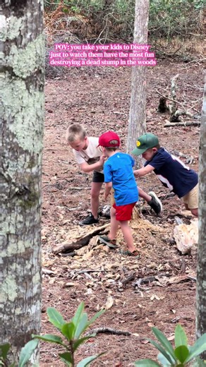 Blessed we only paid for one park day #disney #kids #mom #momtok #vlog @Julie Eastman