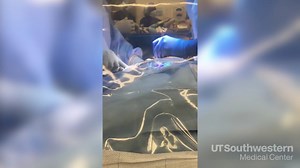 Gentle C-section from a patient's point of view: Stories & Insights - UT Southwestern, Dallas, TX