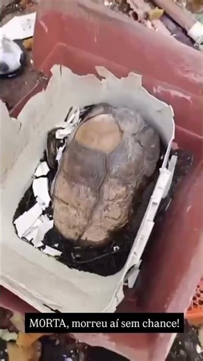 He died there without a chance to live.