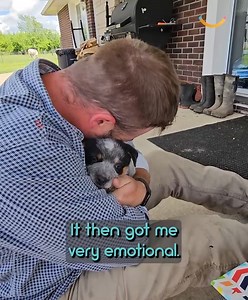 1.5M views · 20K reactions | After they unexpectedly lost their loyal farm helper Bailey, she knew her husband needed another loyal companion to stay by his side on the farm ❤️ | Happily | Facebook