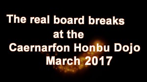 Zanshin Karate Cymru on Reels