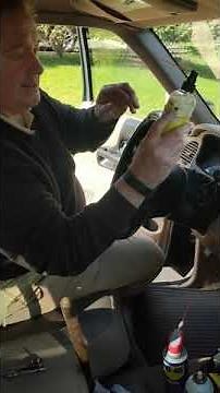 Superzilla Testimonial