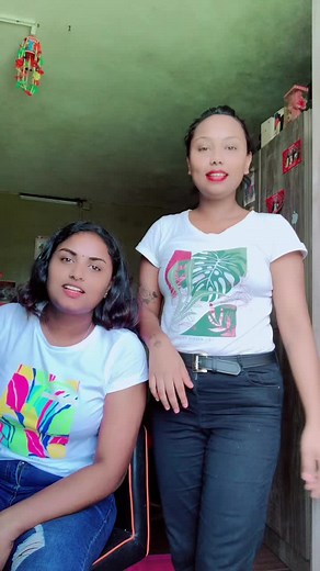 Casual Indoor Conversation between Two Women