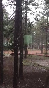 177K views · 3.1K shares | BEAUTIFUL weather in the Valley, and up north our friends are waking up to...SNOW! Video: Suzanne F. from Forest Lakes | ABC15 Arizona | Facebook