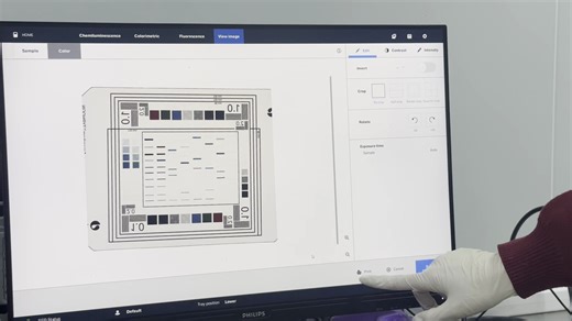 Cytiva Amersham ImageQuant 800（AI800） | Colorimetric 比色   文件保存库读取