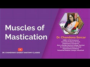 Lecture on Muscles of Mastication