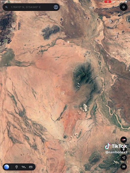 Real Life Dragon: Discover Amazing Dragon Details