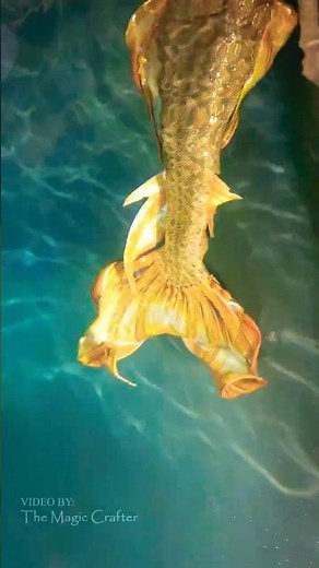 The Tail of a Golden Mermaid