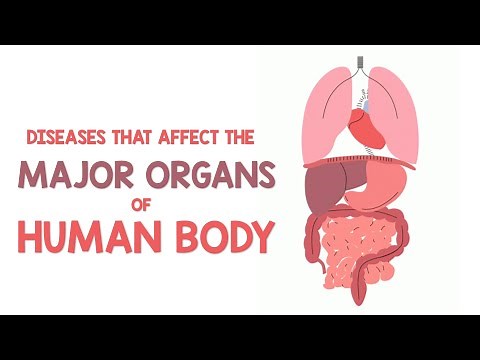 Diseases that Affect the Major Organs of the Human Body | Animation