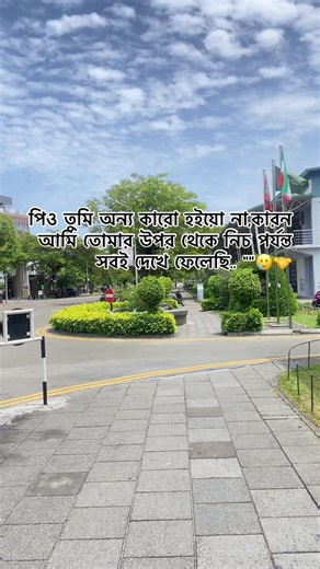 তোমার প্রতি আমার অনুভূতি