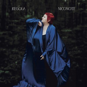 Niconote - Regola