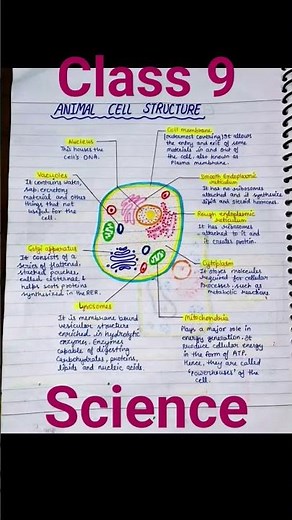 Class 9 |Animal cell structure |BIOLOGY |ScienceNCERT |Structure of animal cell |#cbseclass9science